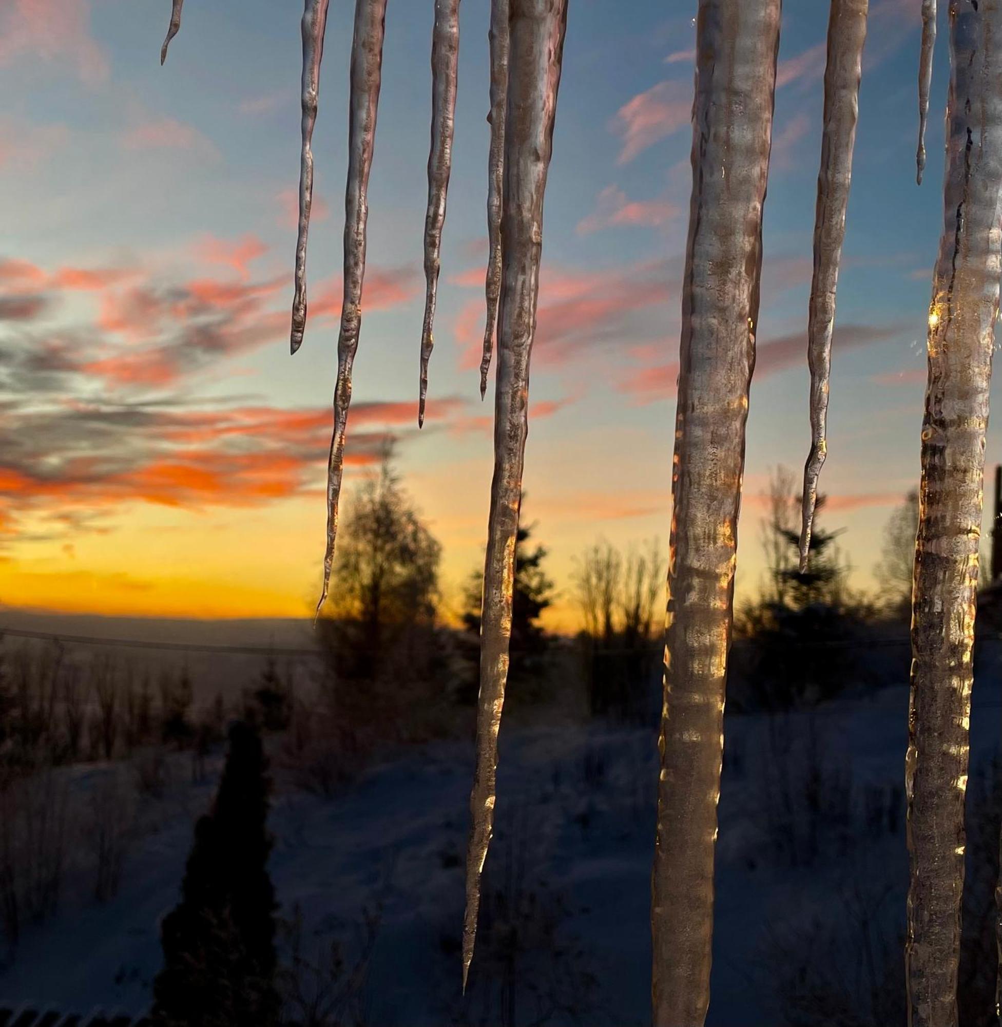 Stabbur Steinbekken, Back To Basic Primitive Overnight Eidsvoll Bagian luar foto